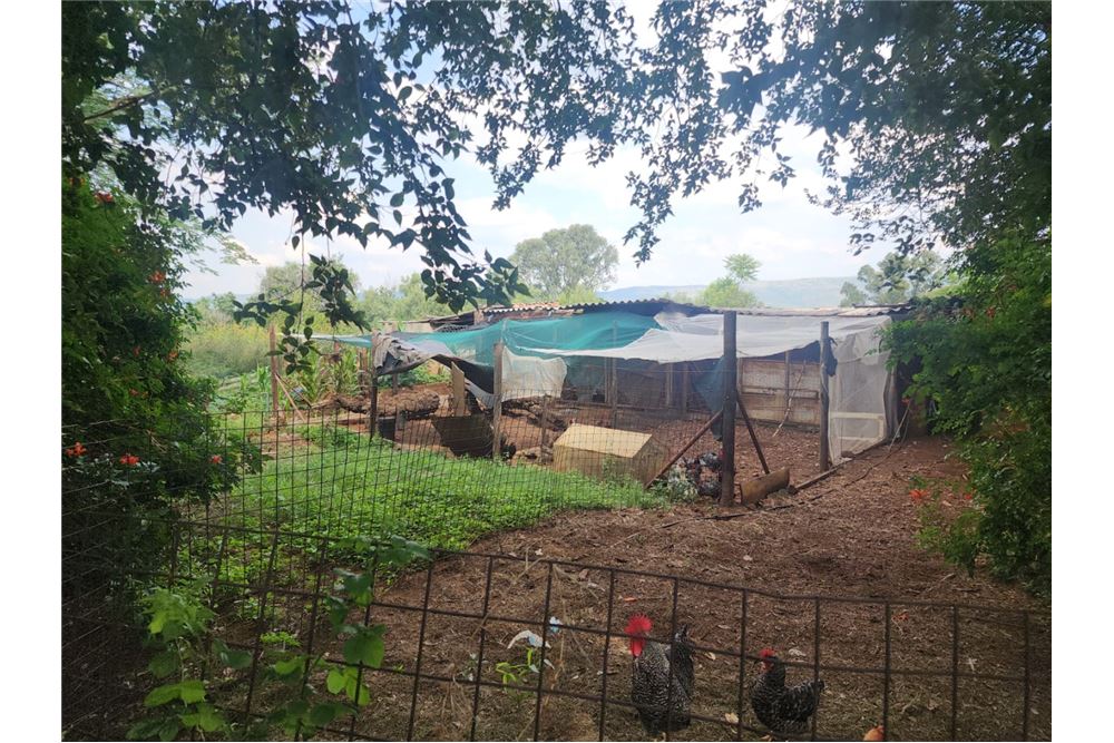 Residential - مزرعة - Kameeldrift West, Gauteng - South Africa - 10 - 1031416033-119