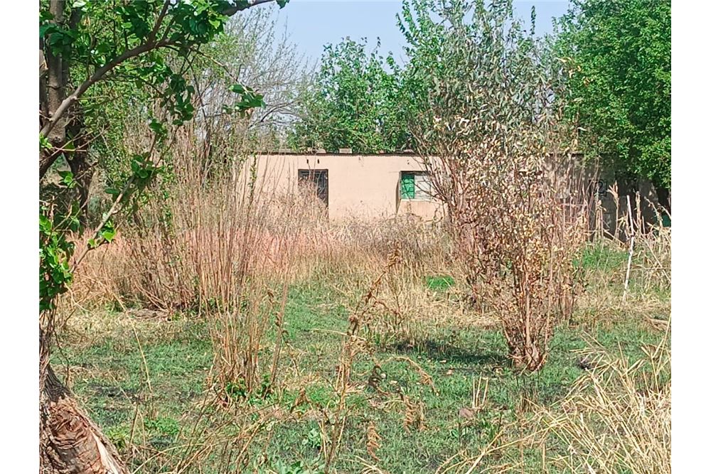 Residencial - Granja - Honingneskrans, Gauteng - South Africa - 5 - 1031414014-165