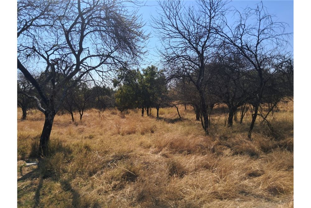 Residenziale - Lotto vacante - Leeuwfontein Estate, Gauteng - South Africa - 64 - 1031414102-104