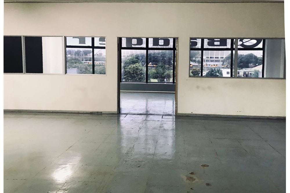 Commercial - Skladišče - Windermere, KwaZulu Natal - South Africa - 10 - 1031389073-107