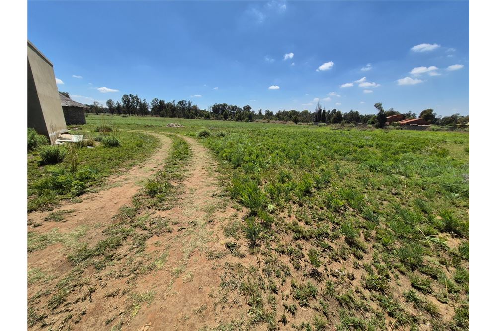 Residential - 주택 - Valley Settlements AH, Gauteng - South Africa - 24 - 1031422057-248