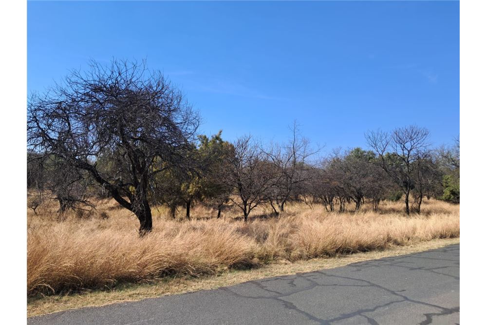 Residenziale - Lotto vacante - Leeuwfontein Estate, Gauteng - South Africa - 65 - 1031414102-104