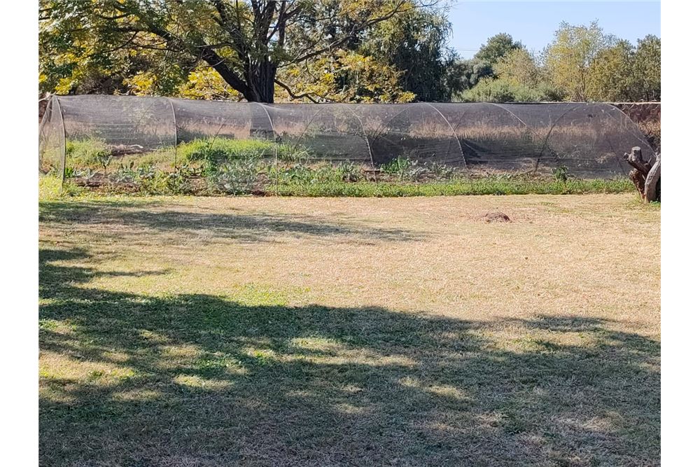 Residencial - Granja - Gerardsville, Gauteng - South Africa - 31 - 1031414116-108