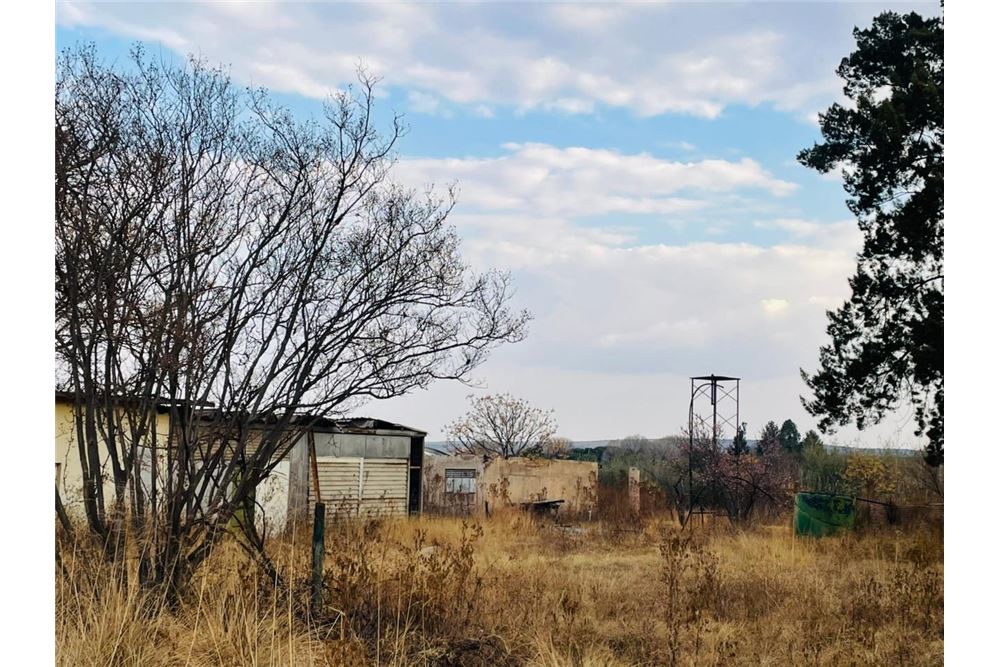 Residencial - Granja - Doornkraal, Gauteng - South Africa - 38 - 1031414137-33