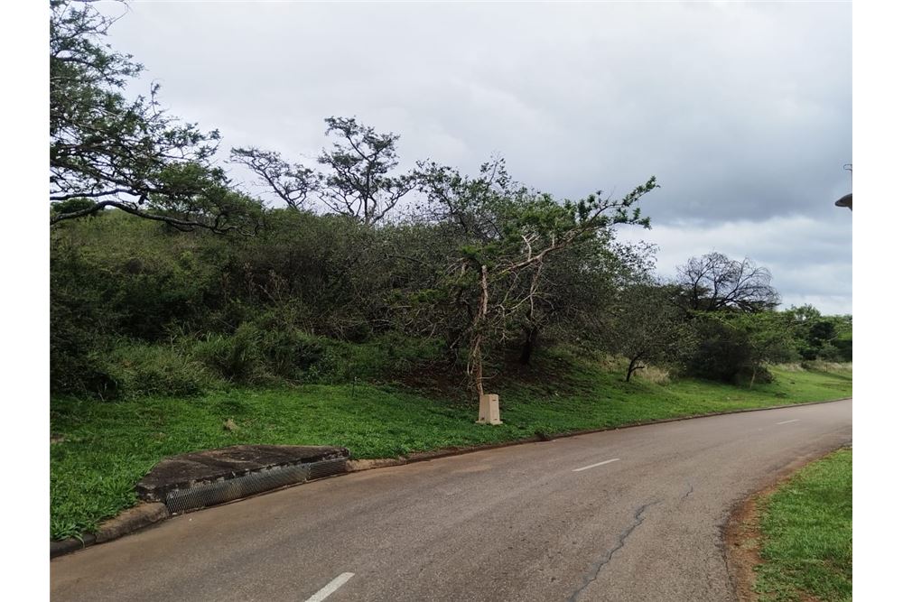 Жилищен - Свободна земя - Bishopstowe, KwaZulu Natal - South Africa - 5 - 1031436105-96