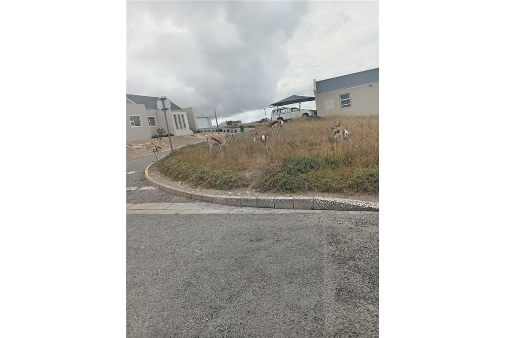 Mieszkaniowa - Teren niezabudowany - Hoogland, Western Cape - South Africa - 8 - 1031429035-166