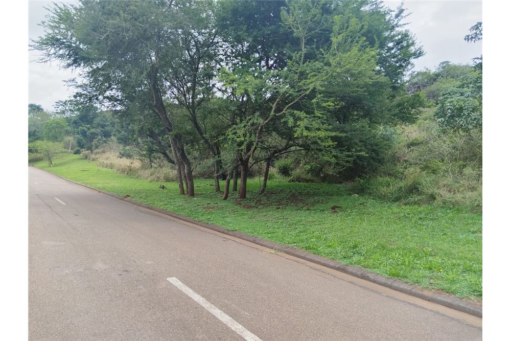 Жилищен - Свободна земя - Bishopstowe, KwaZulu Natal - South Africa - 2 - 1031436105-96