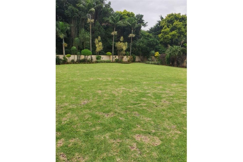 Residential - House - Westville Central, KwaZulu Natal - South Africa - 26 - 1031465038-267