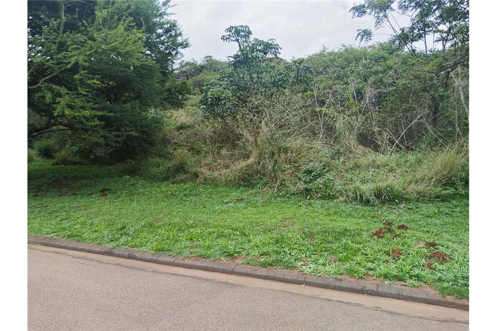 Жилищен - Свободна земя - Bishopstowe, KwaZulu Natal - South Africa - 8 - 1031436105-96