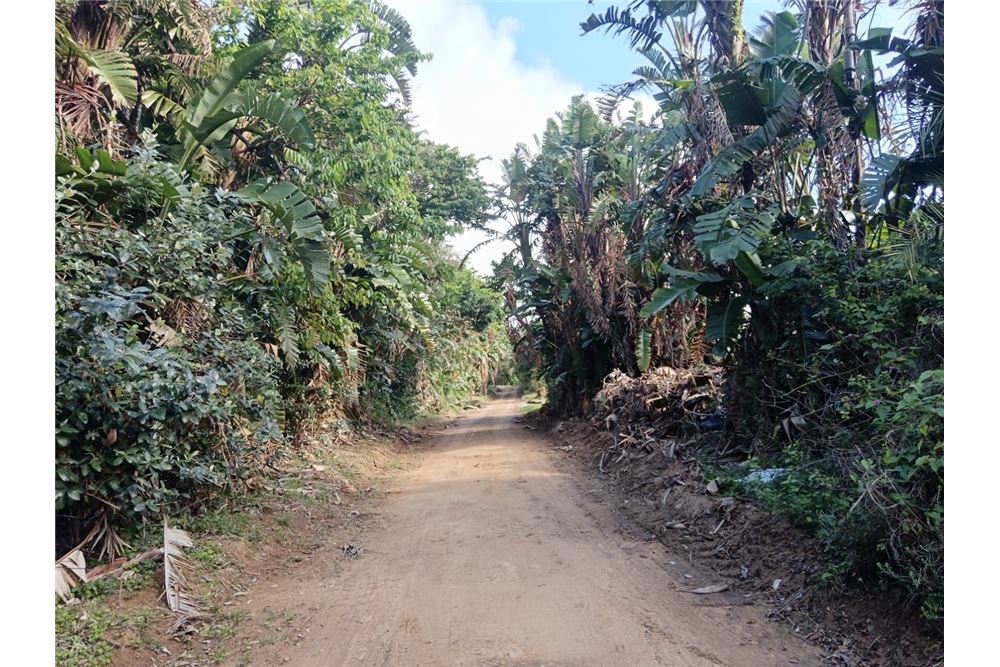 Dzīvojamais - Neapbūvēts zemesgabals - Trafalgar, KwaZulu Natal - South Africa - 14 - 1031394060-123