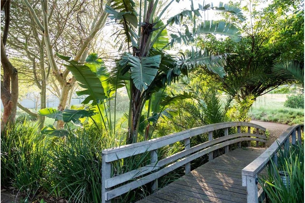 Residential - House - Izinga Estate, KwaZulu Natal - South Africa - 7 - 1031465038-273