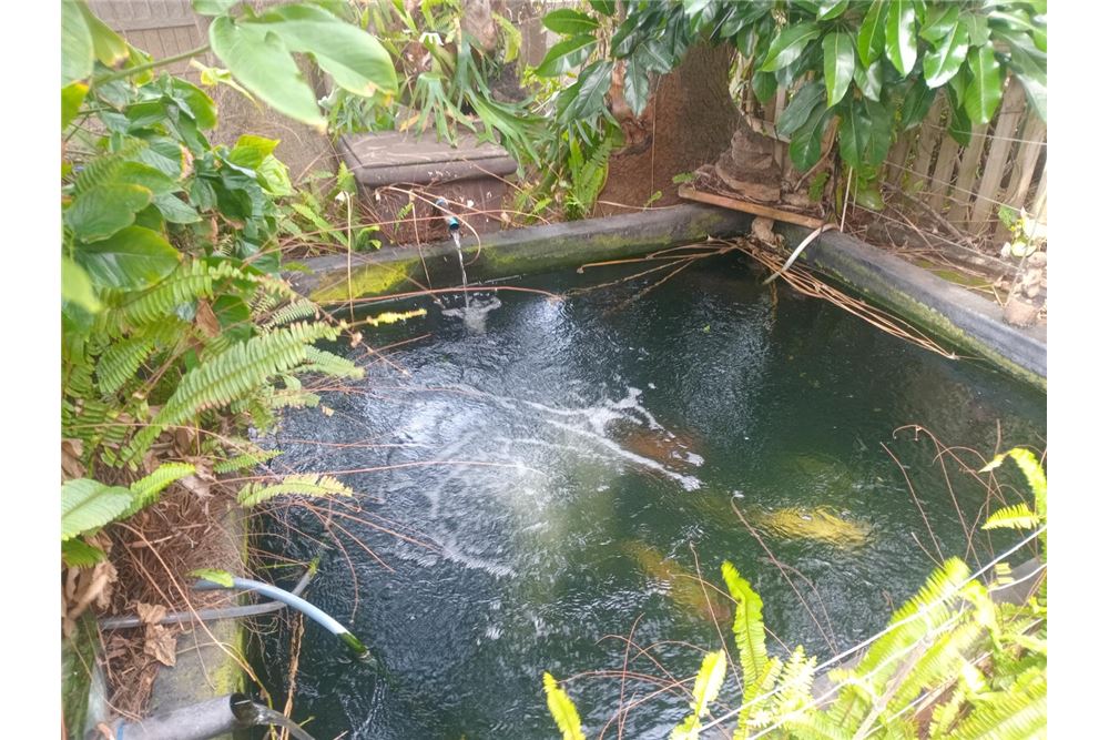 Residential - House - Umhlanga Rocks, KwaZulu Natal - South Africa - 18 - 1031465016-297