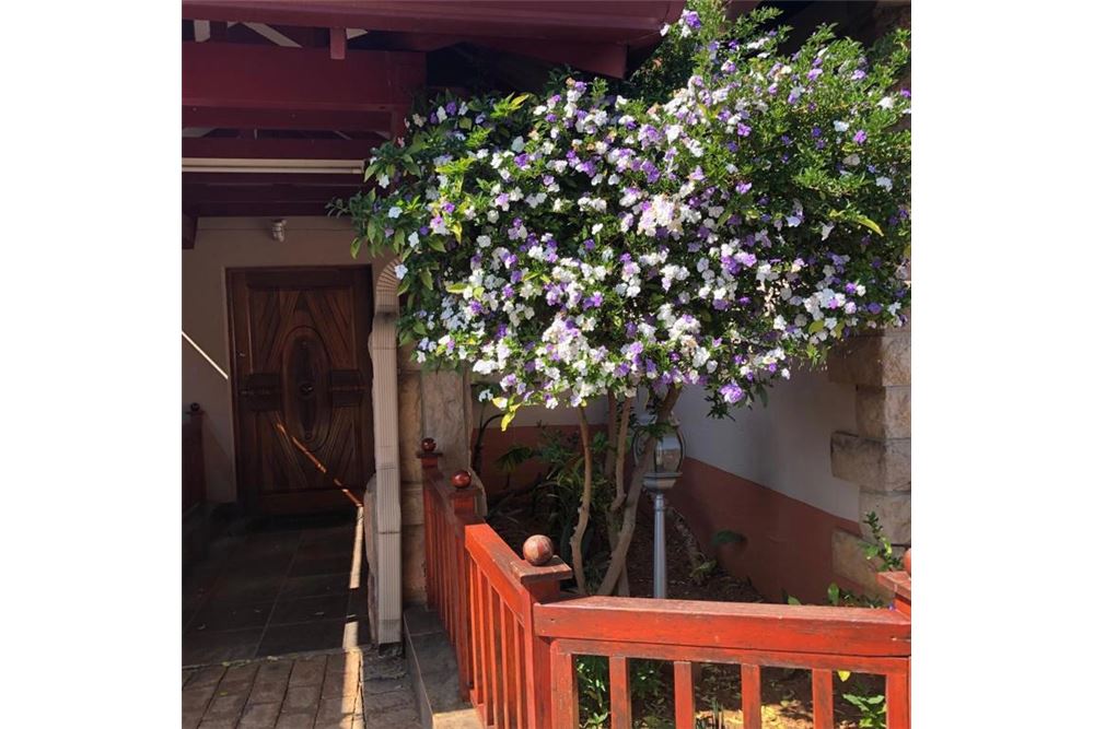 Residential - ਅਲੱਗ ਥਲੱਗ ਬਣਿਆ ਹੋਇਆ ਘਰ - Birdswood, KwaZulu Natal - South Africa - 26 - 1031416004-548