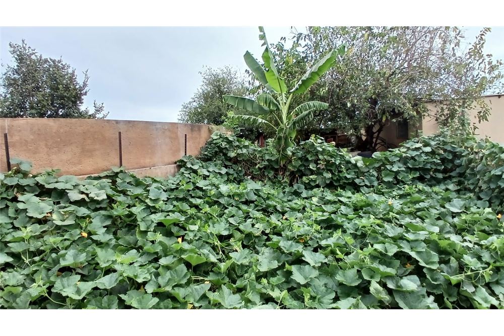 Residencial - Granja - Honingneskrans, Gauteng - South Africa - 11 - 1031414116-89