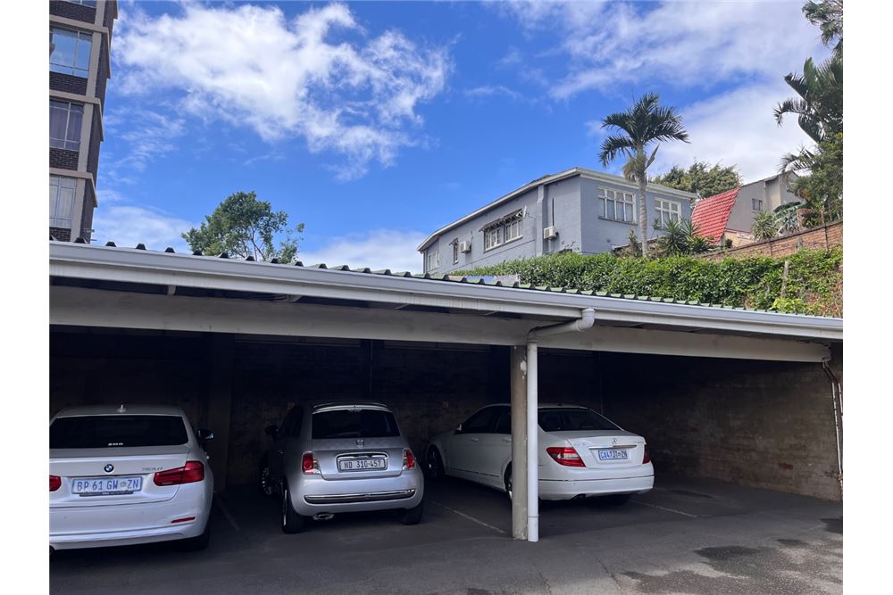 Residential - Condo/Apartment - Musgrave, KwaZulu Natal - South Africa - 31 - 1031465109-94