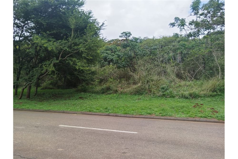 Жилищен - Свободна земя - Bishopstowe, KwaZulu Natal - South Africa - 4 - 1031436105-96