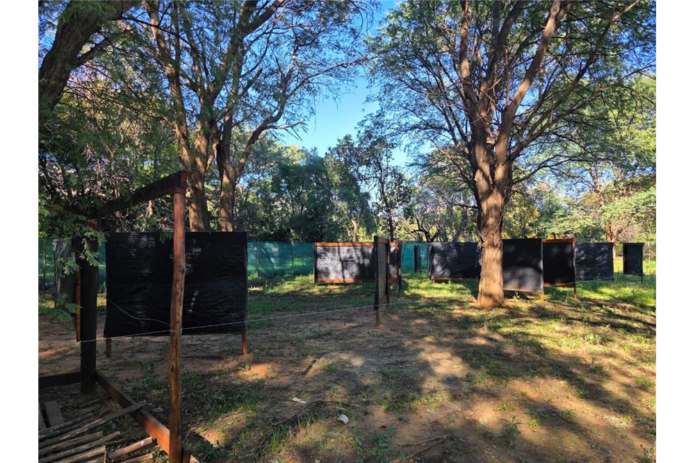 Elamine - Farm / Talu - Zandfontein AH, North West - South Africa - 11 - 1031416018-699