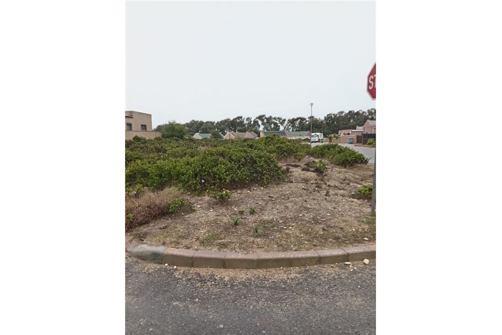 Residential - أرض خالية - Saldanha Central, Western Cape - South Africa - 6 - 1031429035-130