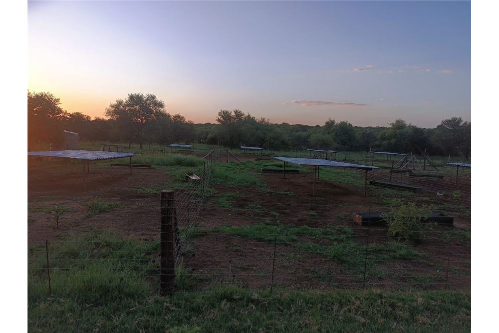 Residencial - Granja - Bultfontein, Gauteng - South Africa - 43 - 1031414014-159