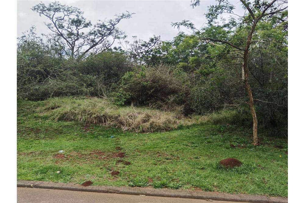 Жилищен - Свободна земя - Bishopstowe, KwaZulu Natal - South Africa - 6 - 1031436105-96