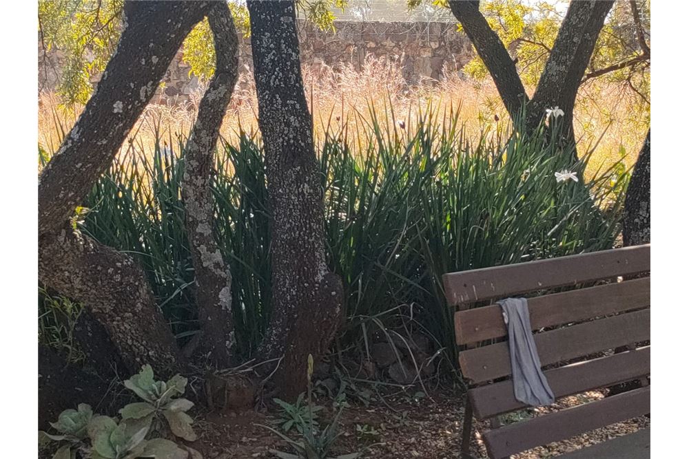 Residencial - Granja - Gerardsville, Gauteng - South Africa - 29 - 1031414116-108