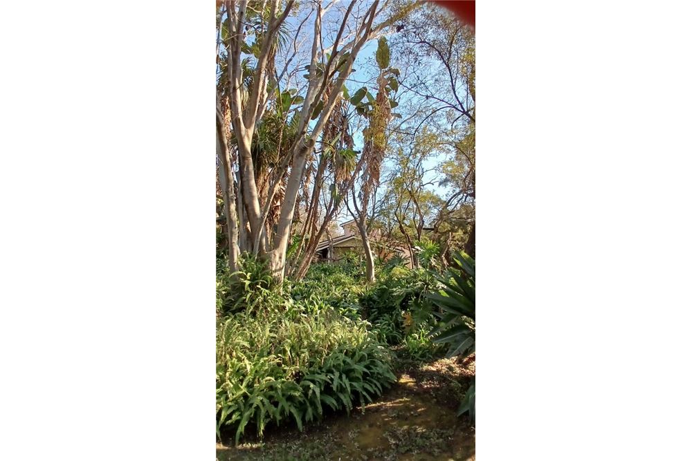 Residenziale - Fattoria - Bon Accord, Gauteng - South Africa - 60 - 1031414116-93