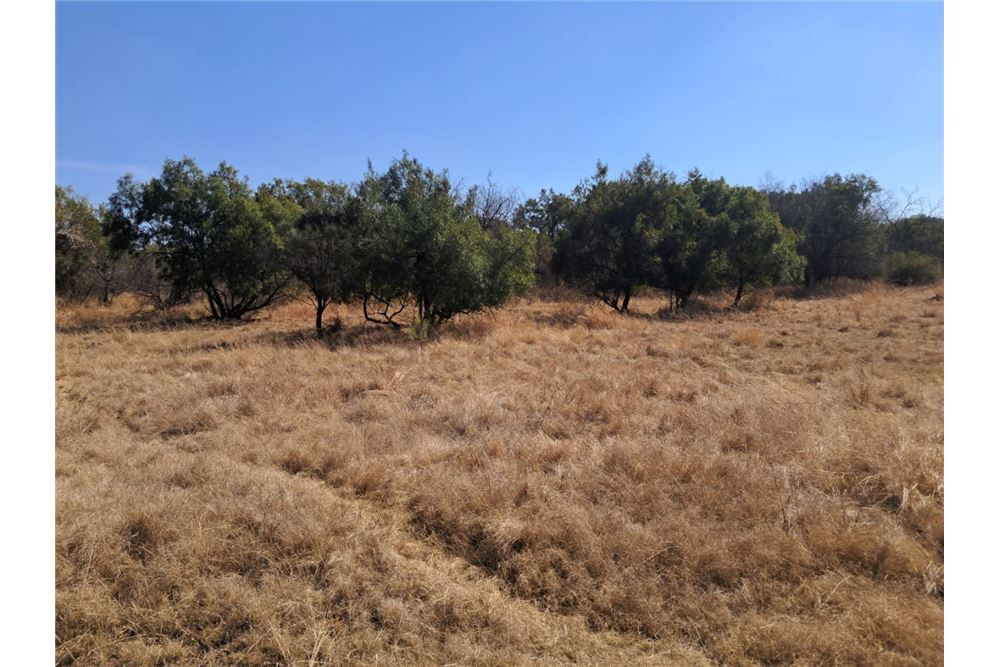 Residenziale - Lotto vacante - Leeuwfontein Estate, Gauteng - South Africa - 65 - 1031414102-103