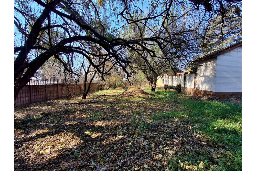 住宅 - 房子 - Parkhill Gardens, Gauteng - South Africa - 37 - 1031422046-121