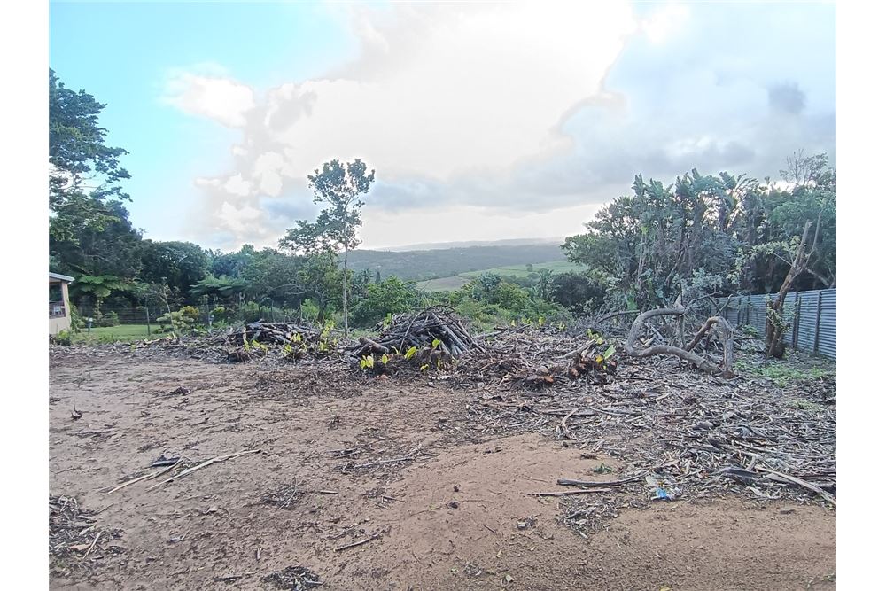 Dzīvojamais - Neapbūvēts zemesgabals - Trafalgar, KwaZulu Natal - South Africa - 16 - 1031394060-123