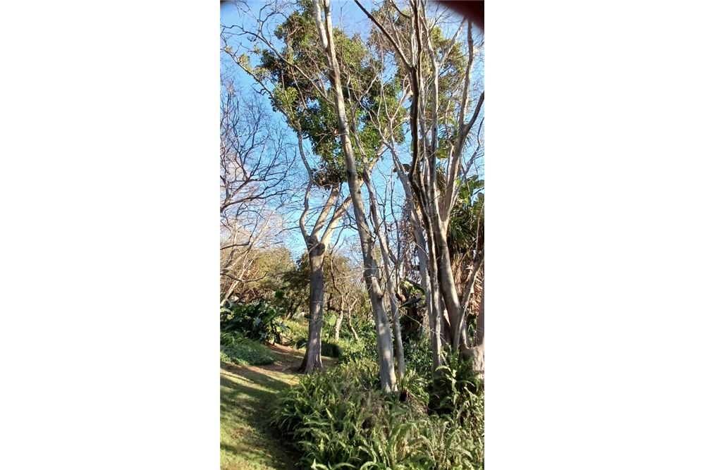 Residenziale - Fattoria - Bon Accord, Gauteng - South Africa - 59 - 1031414116-93