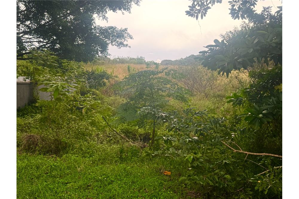 Residential - 공지 - Margate, KwaZulu Natal - South Africa - 5 - 1031394022-97