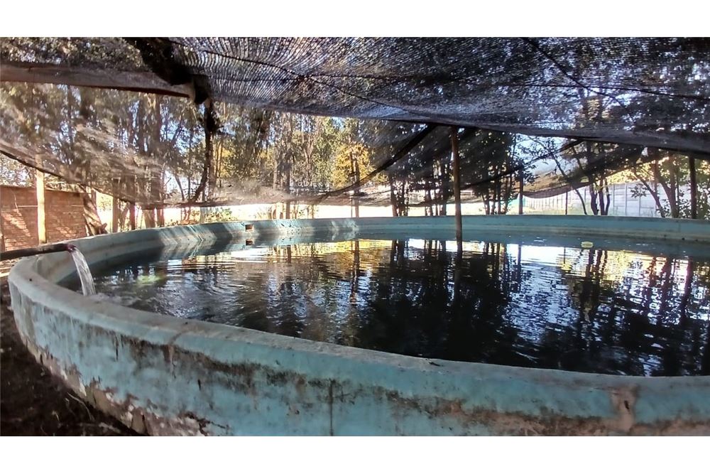 Residencial - Granja - Gerardsville, Gauteng - South Africa - 42 - 1031414116-90