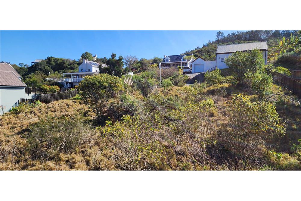 Woningbouw - Onbebouwde grond - Green Pastures, Western Cape - South Africa - 8 - 1031369053-25