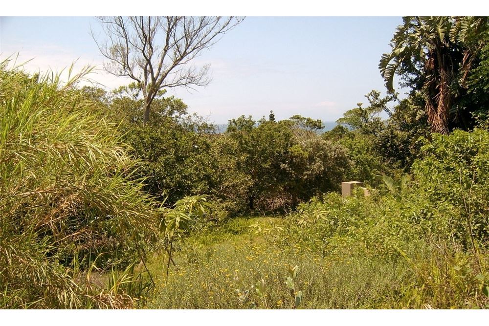 Dzīvojamais - Neapbūvēts zemesgabals - Port Edward, KwaZulu Natal - South Africa - 10 - 1031394016-369