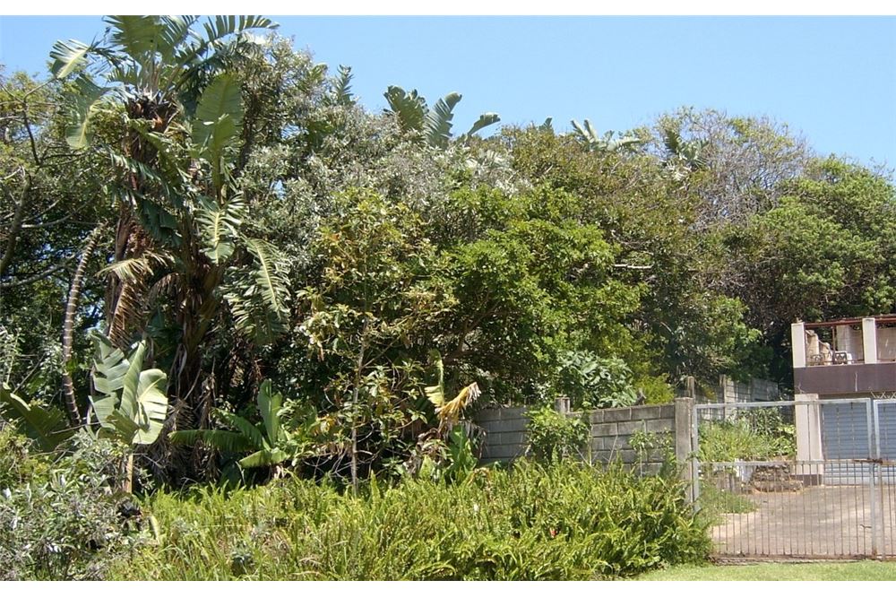 Dzīvojamais - Neapbūvēts zemesgabals - Port Edward, KwaZulu Natal - South Africa - 12 - 1031394016-369