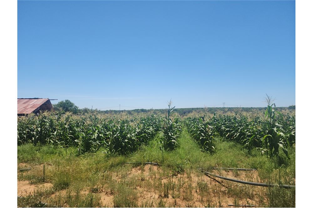 Residential - ਫ਼ਾਰਮ - Brits Rural, North West - South Africa - 4 - 1031416033-105