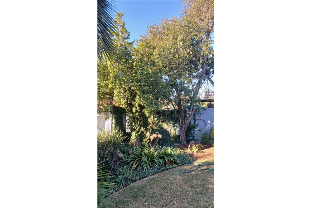 Residencial - Casa - Kirkney, Gauteng - South Africa - 17 - 1031414116-94