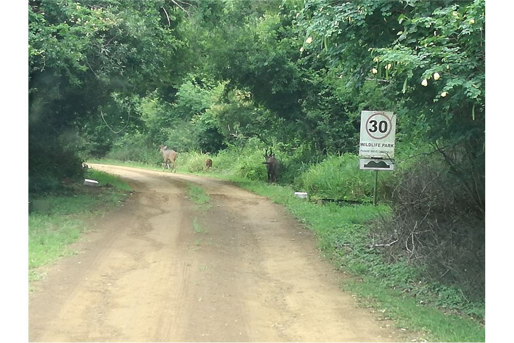 Residential Vacant Land St Lucia, KwaZulu Natal South Africa 1031362003131 , RE/MAX