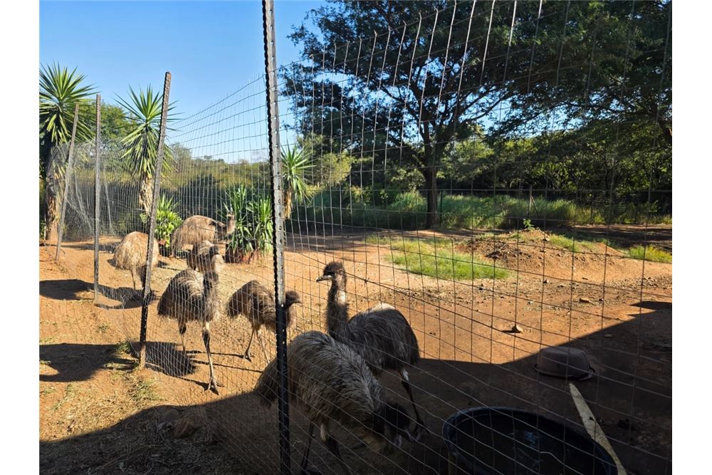 Elamine - Farm / Talu - Zandfontein AH, North West - South Africa - 27 - 1031416018-699