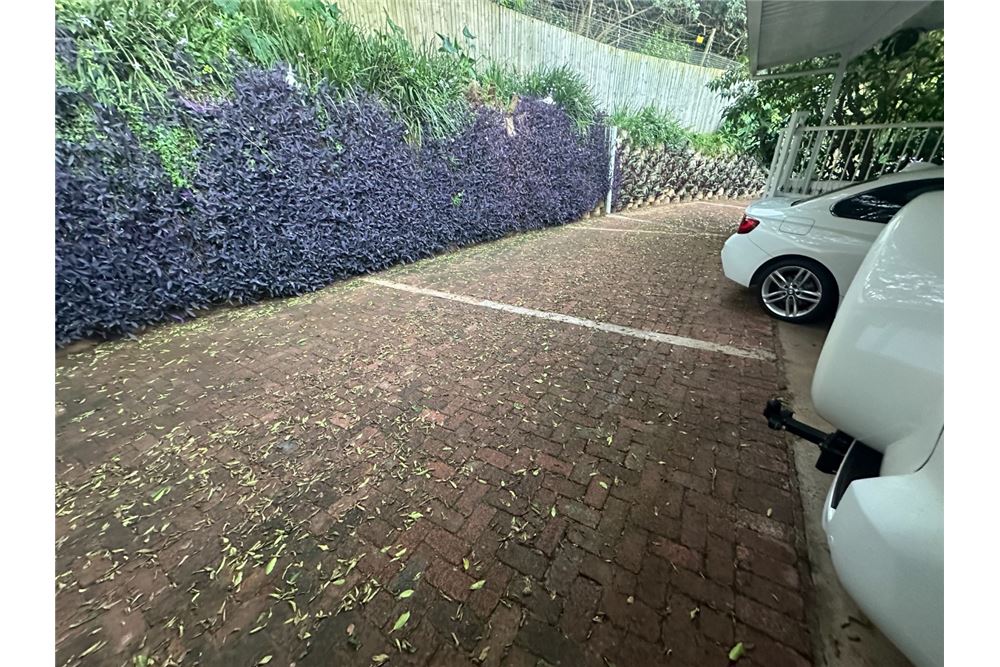 Residential - Stanovanje - Athlone, KwaZulu Natal - South Africa - 15 - 1031388001-158