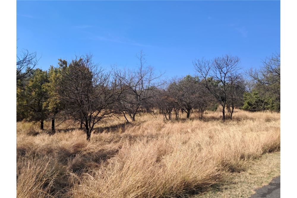 Residenziale - Lotto vacante - Leeuwfontein Estate, Gauteng - South Africa - 58 - 1031414102-104