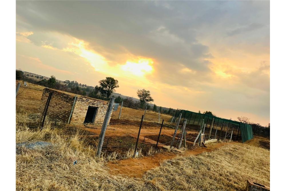 Residencial - Granja - Doornkraal, Gauteng - South Africa - 10 - 1031414137-33