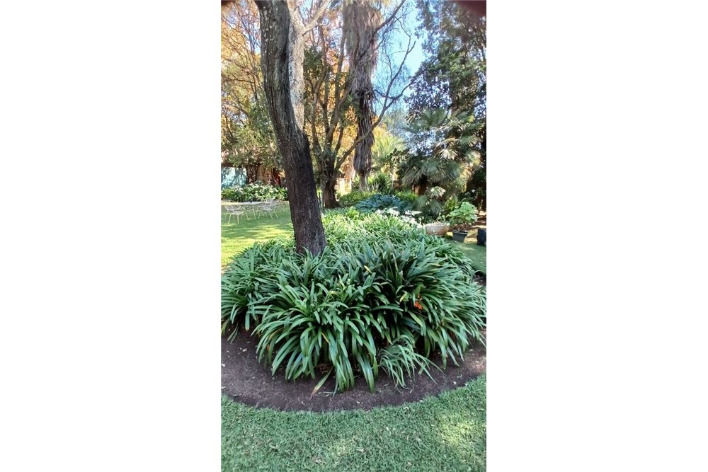 Residencial - Granja - Gerardsville, Gauteng - South Africa - 23 - 1031414116-90