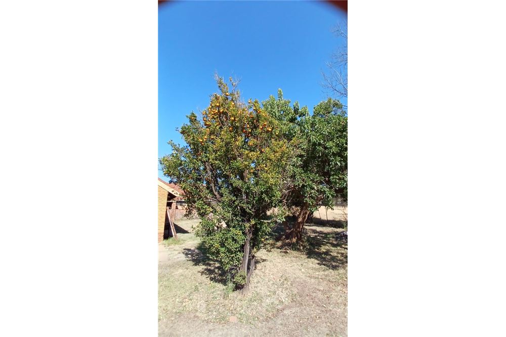 Residenziale - Fattoria - Bon Accord, Gauteng - South Africa - 69 - 1031414116-93