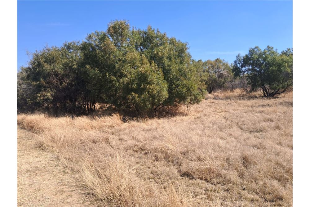 Residenziale - Lotto vacante - Leeuwfontein Estate, Gauteng - South Africa - 64 - 1031414102-103