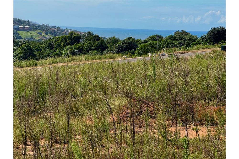Residential - Vacant Land - Sibaya, KwaZulu Natal - South Africa - 10 - 1031465010-417