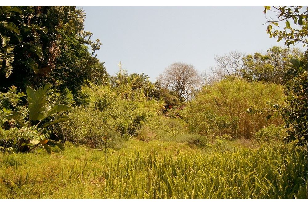 Dzīvojamais - Neapbūvēts zemesgabals - Port Edward, KwaZulu Natal - South Africa - 11 - 1031394016-369