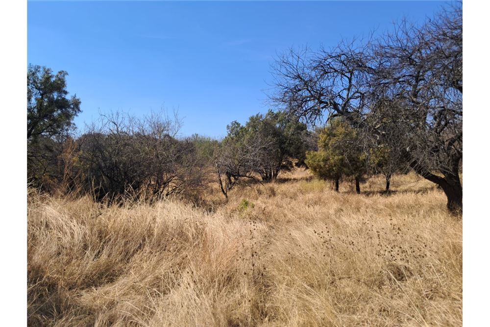 Residenziale - Lotto vacante - Leeuwfontein Estate, Gauteng - South Africa - 66 - 1031414102-104