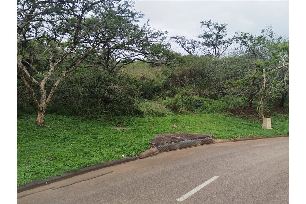 Жилищен - Свободна земя - Bishopstowe, KwaZulu Natal - South Africa - 7 - 1031436105-96