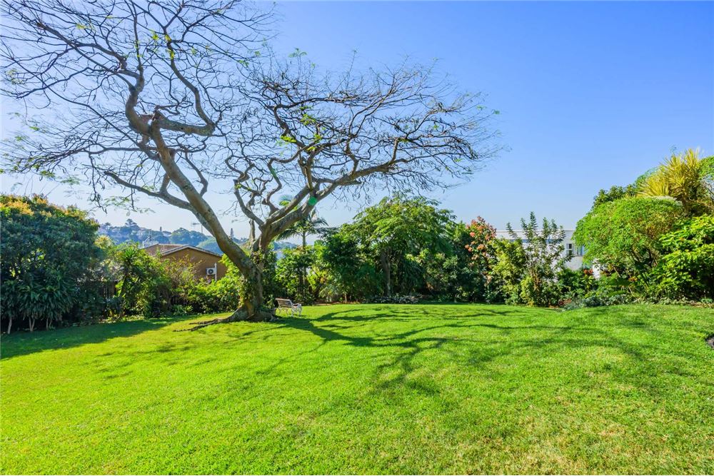 Residential - Condo/Apartment - Musgrave, KwaZulu Natal - South Africa - 34 - 1031465036-158